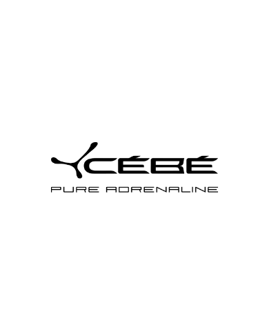 CEBE Kids CEBE Kids