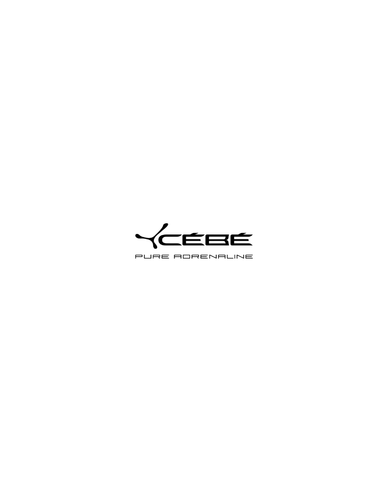 CEBE Kids