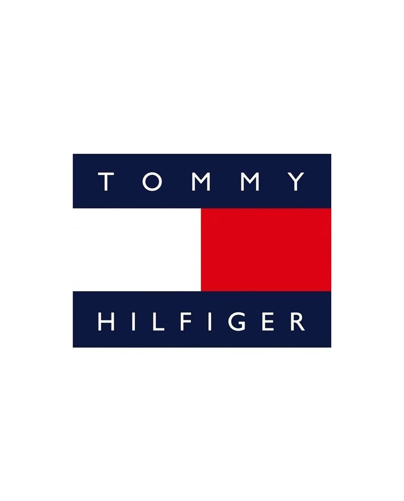 Tommy hilfiger best sale eyewear logo