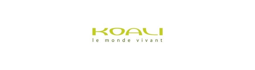KOALI MOREL FRANCE KOALI MOREL FRANCE